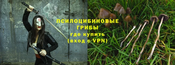 а пвп мука Абаза