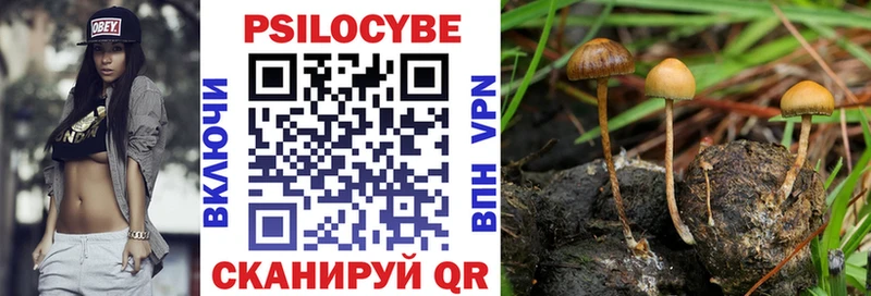 где купить наркотик  Котельнич  Галлюциногенные грибы Cubensis 